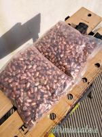 Ogive cal 45acp 230gr