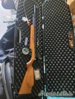 Diana Storm raider 4.5/.177