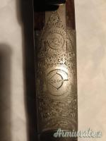 Zoli Antonio delfino 20