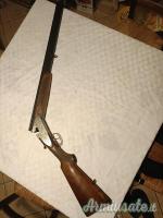 Zoli Antonio delfino 20