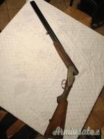 Zoli Antonio delfino 20