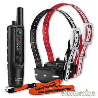 Sistema di addestramento per cani Garmin Pro 550 + collare