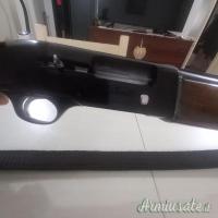 Beretta Semiautomatico  12