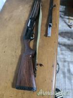 Benelli Raffaello crio 28 28