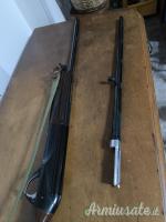 Benelli Raffaello crio 28 28