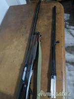 Benelli Raffaello crio 28 28