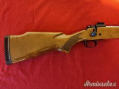 WINCHESTER 300