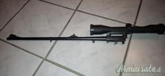 Canna blaser k95 cal.243w