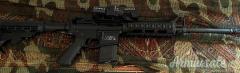 Smith & Wesson MP15 SPORT .223 Remington