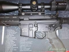...Altro | Non elencato Ar15 sport .223 Remington