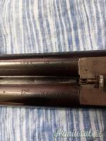 Daffini cani esterni 12