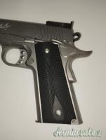 Kimber  Stainless Target II .45 ACP