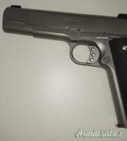 Kimber  Stainless Target II .45 ACP