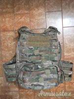 Crye Precision AVS Plate Carrier
