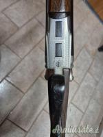 Doppietta cani esterni 16