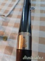 Benelli Raffaello  12