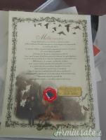 Benelli Raffaello  12