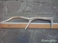 Corno per costruire manici