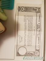 Beretta automatico e doppietta