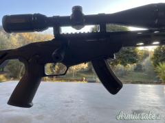 Ruger | Sturm rimfire precision .22 Long Rifle