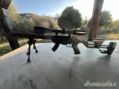 Ruger | Sturm rimfire precision .22 Long Rifle