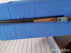 ...Altro | Non elencato bigrillo 12