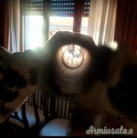 ...Altro | Non elencato Sconosciuto 16