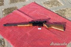 Carabina WINCHESTER mod. 290 (64)