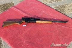 Winchester 290 .22 Long Rifle (290)