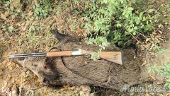 ...Altro | Non elencato Castellani 20