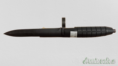 Originale ex ordinanza