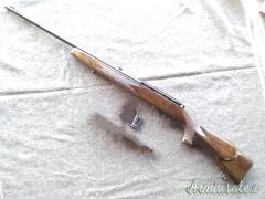 Beretta weatherby .22 Long Rifle
