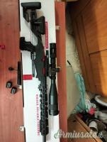 Ruger | Sturm PRECISION RIMFIRE .22 Long Rifle