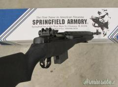Springfield M14 .308 Winchester