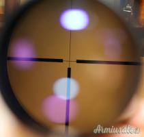 Carabina DWM-Concari Cal. 243W con Ottica