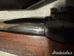 Sauer 202 .243 Winchester