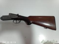 Zoli Antonio Delfino 12