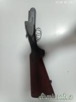 Zoli Antonio Delfino 12