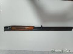 Zoli Antonio Delfino 12