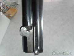 Zoli Antonio Delfino 12