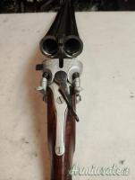 ...Altro | Non elencato cani esterni 12