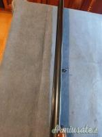 ...Altro | Non elencato  12