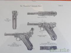 Stampe armi - vari soggetti