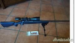 Remington 783 .243 Winchester