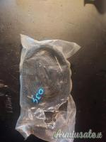 Cinghia Norinco nera.