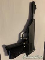 Bernardelli P90 ed AMR .22 LR Long Rifle