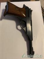 Bernardelli P90 ed AMR .22 LR Long Rifle