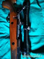 Sako L61 .375 H&H Magnum