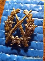 CEDO distintivo Carl Gustafs