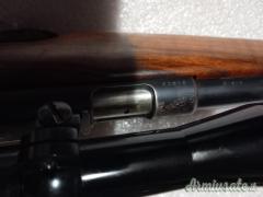 ...Altro | Non elencato